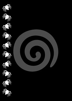 Spider border on black