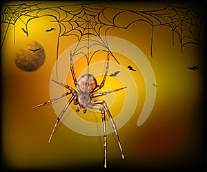 Spider in cobweb. Halloween background