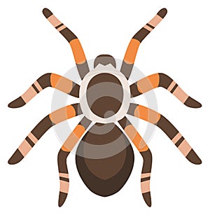 Spider exotic pet animal. Arachnid cartoon icon