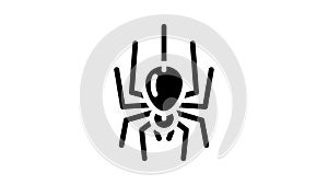 spider fear glyph icon animation