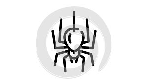 spider fear line icon animation