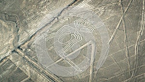 Spider figure as seen in the Nasca Lines, Nazca, Peru photo