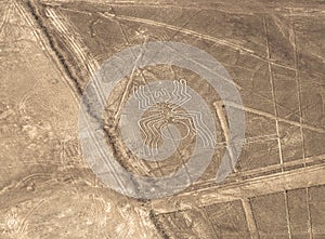 Spider Geoglyph, Nazca Lines, Peru