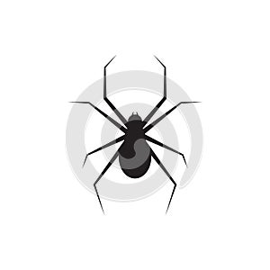 Spider graphic silhouette template vector isolated illustration