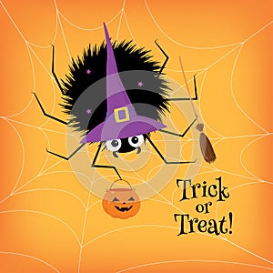 Spider halloween witch costume