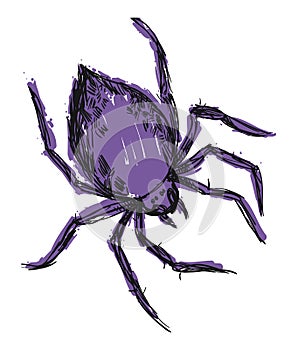 Spider in Hand Drawn Style and Purple Brush Strokes, Vector Illustration