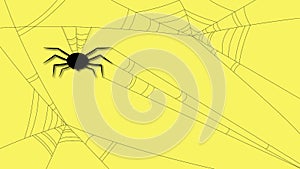 Spider hanging on cobweb yellow background