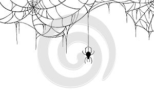 Spider  hanging from spiderwebs on white   background, Hallowed banner isolated on night background texture, vector illustration