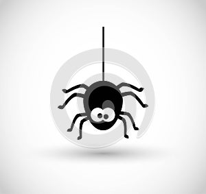 Spider icon