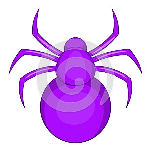 Spider icon, cartoon style
