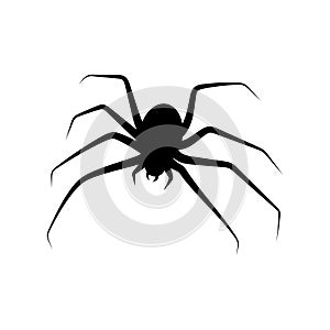 Spider icon design template ilustration vector