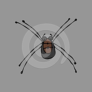 Spider icon, isolated on white. Hand drawn style.