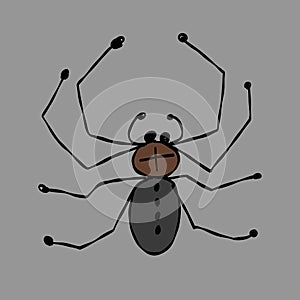 Spider icon, isolated on white. Hand drawn style.