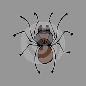 Spider icon, isolated on white. Hand drawn style.