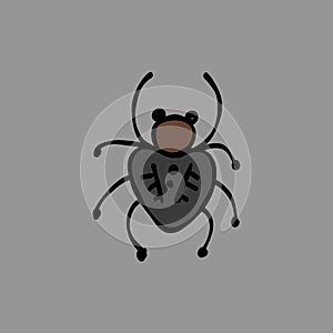 Spider icon, isolated on white. Hand drawn style.