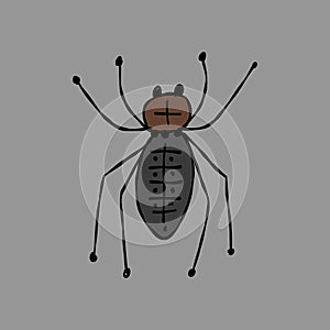 Spider icon, isolated on white. Hand drawn style.