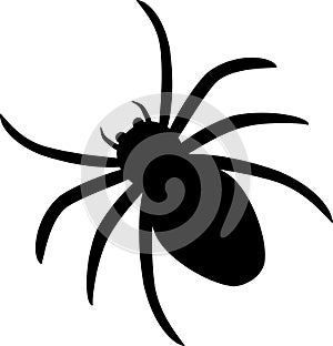 Spider icon silhouette isolated on white background.