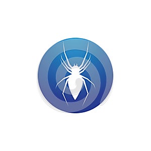 spider illustration logo vector template-vector