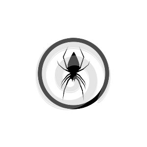 spider illustration logo vector template-vector