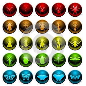 Spider and insect icon set