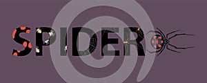 Spider Insect Text Composition