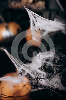 Spider lair darkness cave halloween mystic web