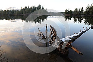 Spider lake and forest