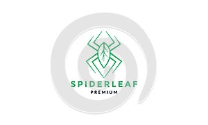 Spider leaf plant green   line art  logo icon vector illustration design