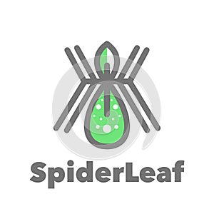 Spider leaf