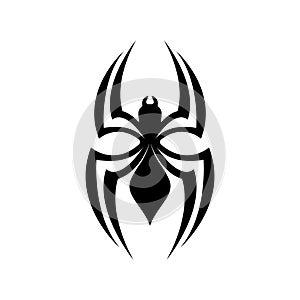 Spider logo icon design vector photo