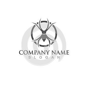 spider logo and symbol vector illustration