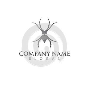 spider logo and symbol vector illustration