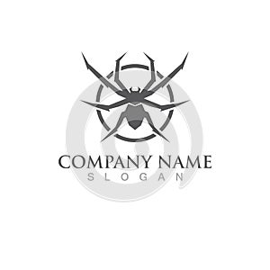 spider logo and symbol vector illustration