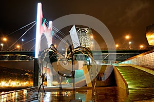 The Spider Maman at Guggenheim Bilbao