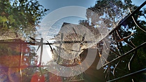Spider net and flare efect photo