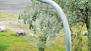 Spider net with rain drops