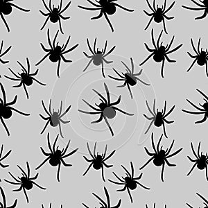 Spider pattern. Perfect for seasonal, autumn, halloween design