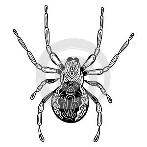 Spider with patterns. Zentangle spider. Black-white illustration of an insect with ornaments. Stylized spider. Tattoo.