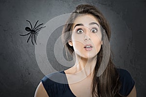 Spider phobia photo