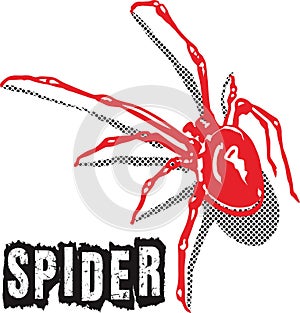 Spider red