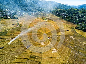 Spider rice fields aerial photo