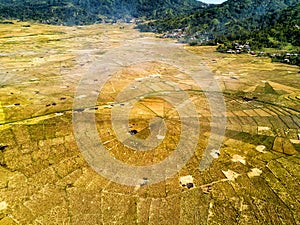 Spider Rice Fields photo