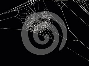 Spider's net