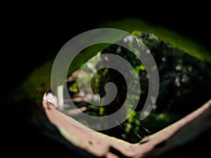 A spider`s net is visible through the window in the morning