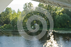 Spider`s web on the background of blurred river