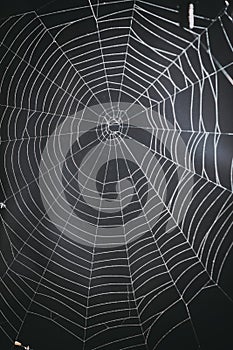 Spider`s web on a black background.