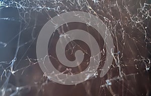 Spider`s web in dark background