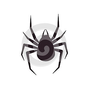 Spider silhouette is arachnid. Vector illustration of a flat silhouette spider scary, poisonous animal, black widow. Black spider
