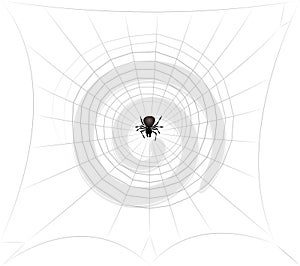 Spider In Spiders Web Center Lurking