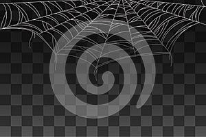 Spider spooky web decoration for background vector illustration on transparent background